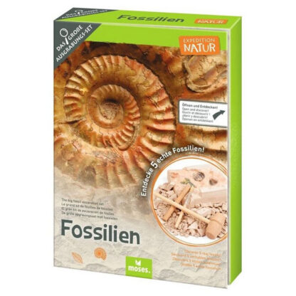 colección de fósiles juego de excavación