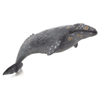 ballena gris