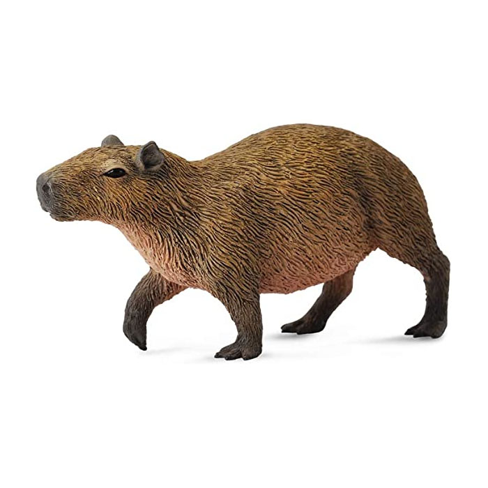 Capibara - La Extinción