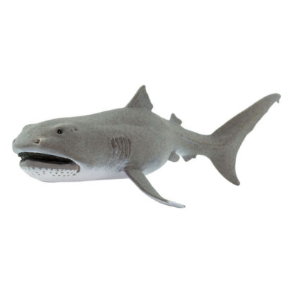 tiburón de boca ancha