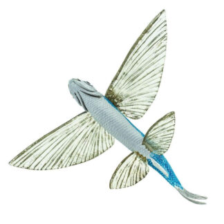 pez volador atlántico