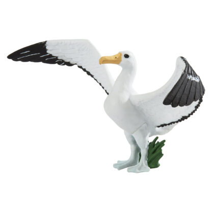 albatros viajero