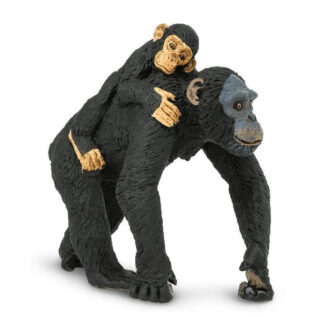 chimpancé con cría