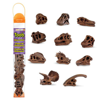 Cráneos de dinosaurios