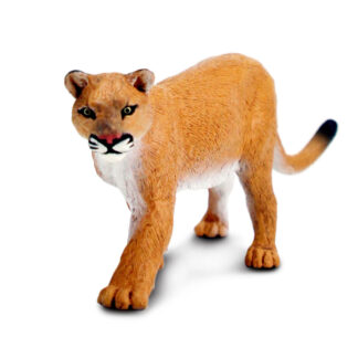 puma