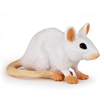 ratón blanco