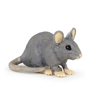 ratón casero