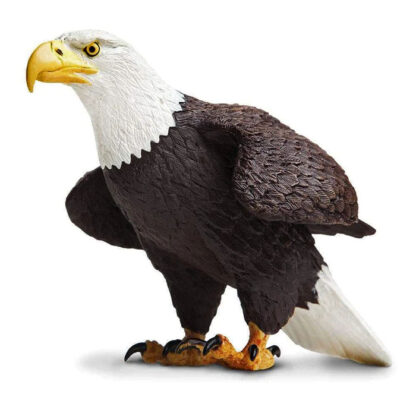 águila calva