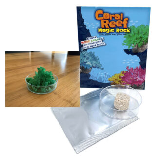 creación de corales