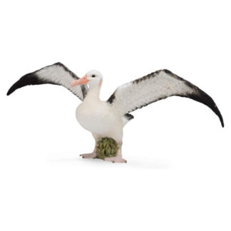 Albatros viajero