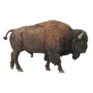 bisonte americano