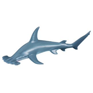 tiburón martillo común