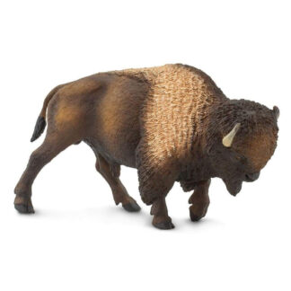 bisonte americano