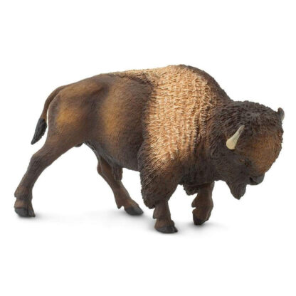 bisonte americano