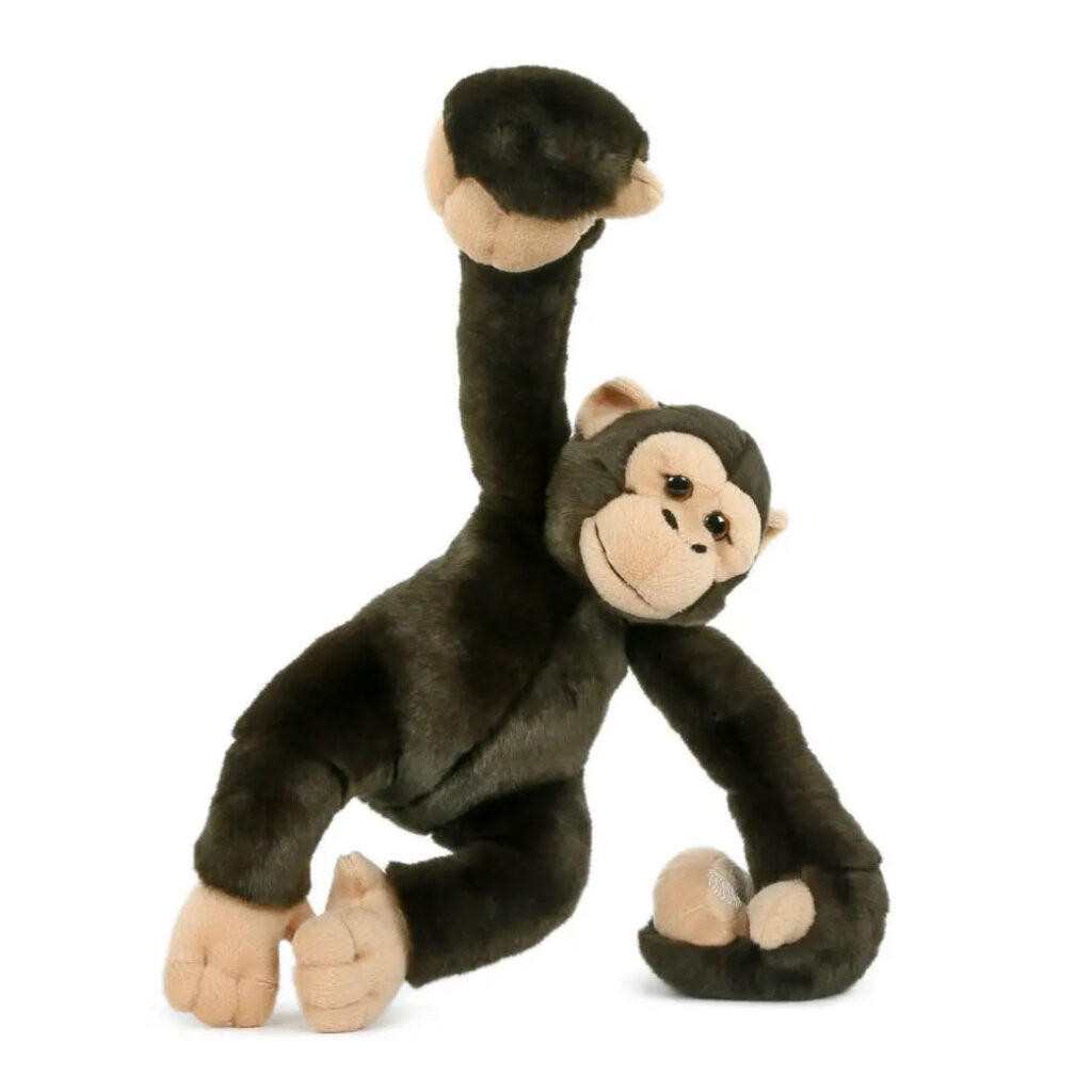 chimpancé