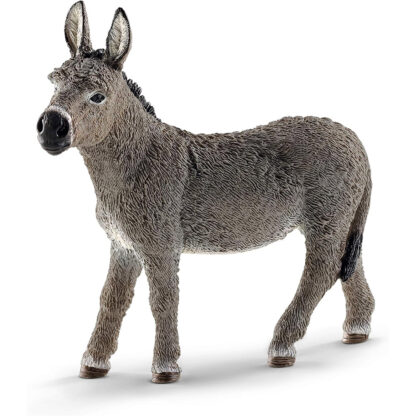 burro