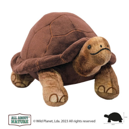 tortuga gigante