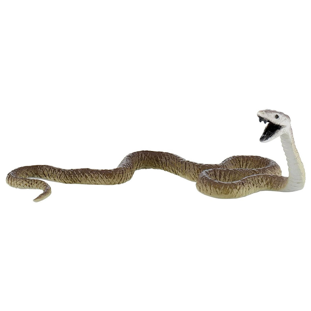 mamba negra