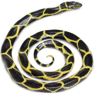 serpiente real
