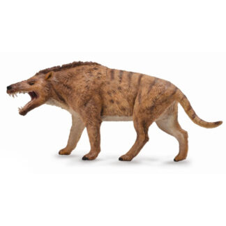 Andrewsarchus