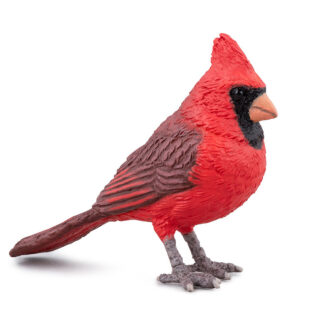 cardenal norteño