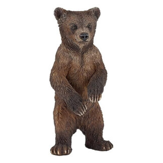 osezno grizzly