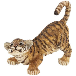 cachorro de tigre