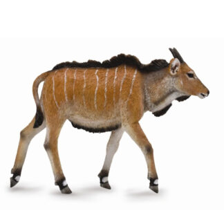cría de eland