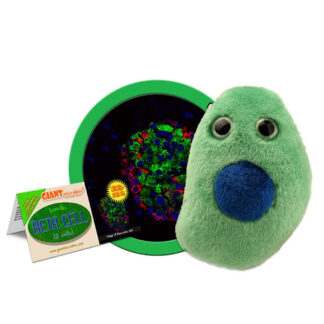 peluche de la diabetes