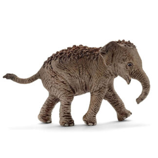 cría de elefante asiático