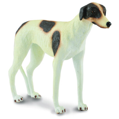 galgo inglés