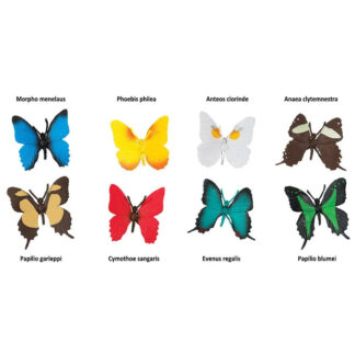 tubo de mariposas