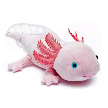 ajolote rosa