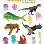 Novedades Safari