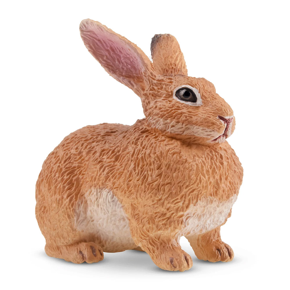 conejo gigante de Flandes