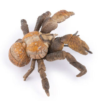 cangrejo de los cocoteros