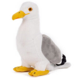 gaviota