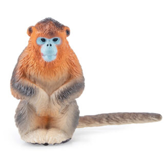langur chato dorado
