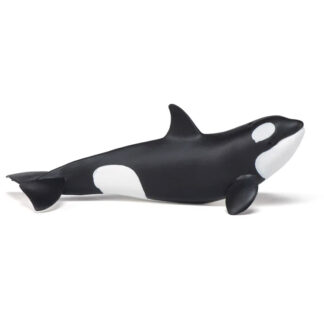 cría de orca