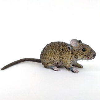 Ratón