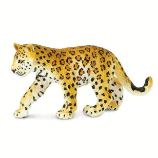 cachorro de leopardo