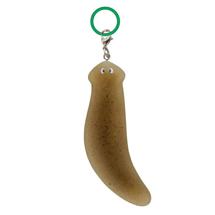 planaria