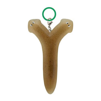 planaria de dos cabezas