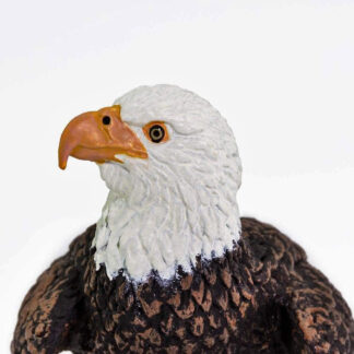 águila calva