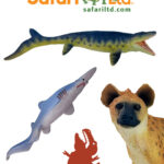 novedades Safari