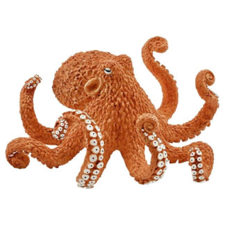pulpo