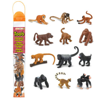 monos y simios