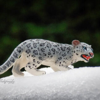 cachorro de leopardo de las nieves