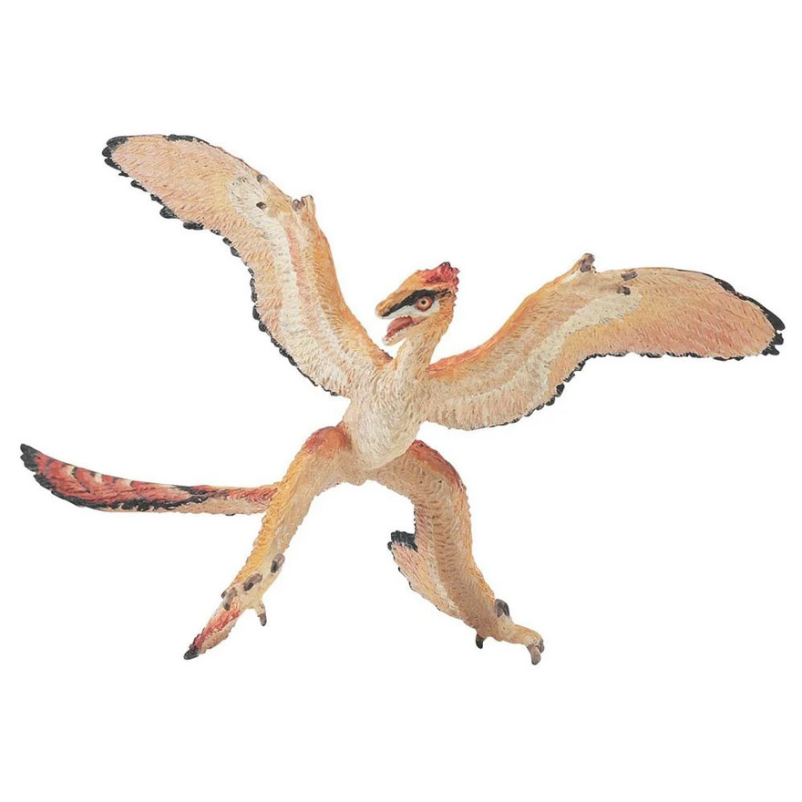 Microraptor