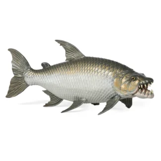 Pez tigre goliat